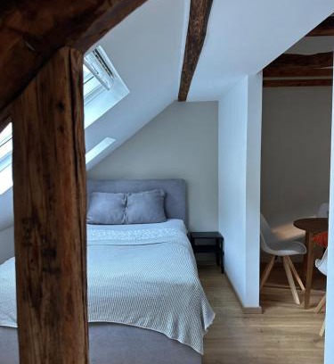 Mainz-Bingen Apartamento | Weinblick am Rhein