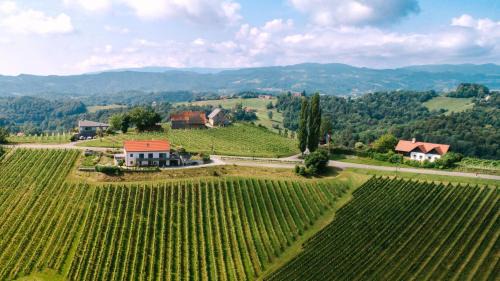 Ratsch Apartamento | Weinstraßenapartment Fam. Dietrich