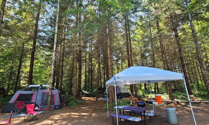 Pierce County Alquiler De RV | Welcoming 2-Tent Site, 5 people, hussle-free camping.