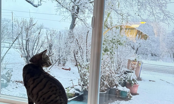 Golden Hills Casa | Welcoming house with AC in charming Tehachapi