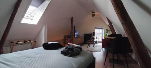 Coevorden Casa | Wellness B&B Hartje Coevorden