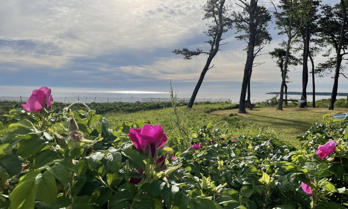 West Chop Casa | West Chop Sandy Beach, Water Front, 6 BR, Great Views!