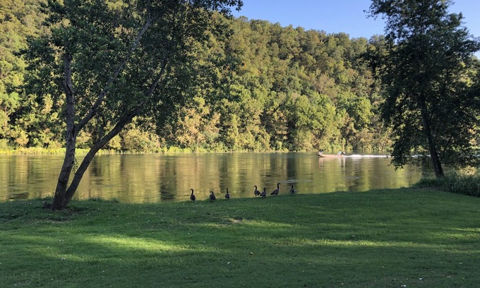 Flippin Cabina | White River Fishing Lodge, con vistas al río con aterrizaje privado y rampa para botes
