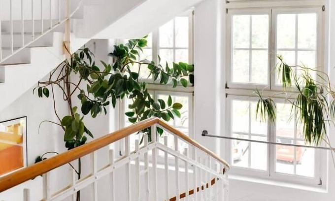 Petershausen-West Apartamento | WHLIVING - Apartments & Studios