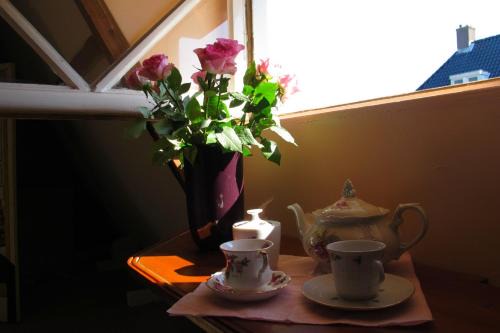 Amsterdam West Casa | Wild Roses