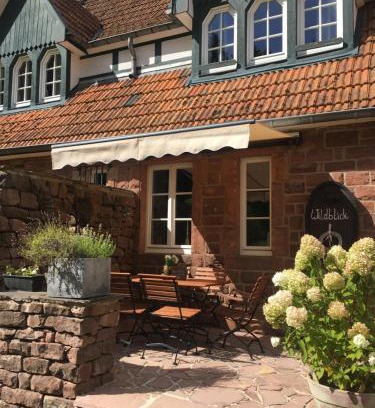 Muerlenbach Apartamento | Wildblick Appartment Hof Grindelborn