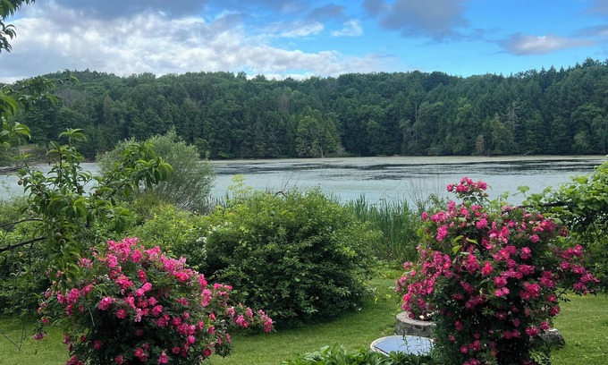 Lanesborough Casa | Wildlife Lakeside Cottage beautiful views, amazing wildlife, great location
