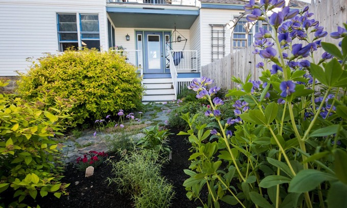 Willard Apartamento | Willard Beach Escapada - Se admiten perros - ¡A pasos de la orilla!