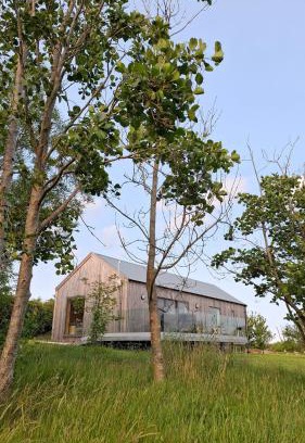 Newtownards Casa | Willow Lodge