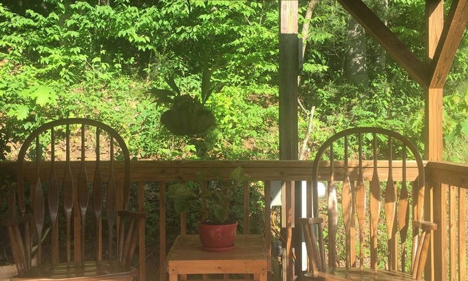 Asheville Cabina | Willow Pond/log cabin. Willow Pond invites you to relax.