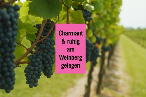 Roschbach Apartamento | WINETIME - Apartment Roschbach - für bis zu 5 Personen - idyllisch an den Weinbergen der südlichen Weinstraße zwischen Landau und Neustadt gelegen