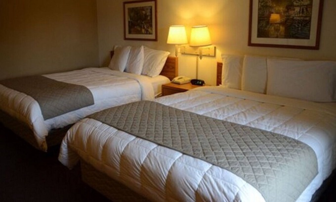 Thorp Casa | Wisconsin on Budget! 3 Affordable Units, Pet-friendly, Free Parking & Breakfast!