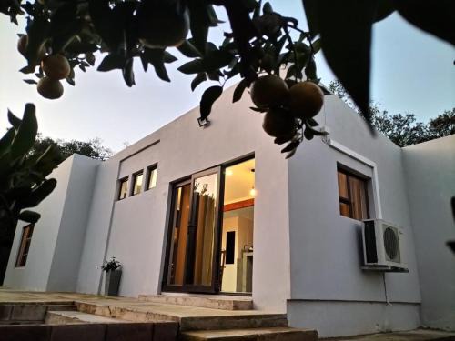 Patensie Apartamento | Witrivier Farmstay Self-Catering
