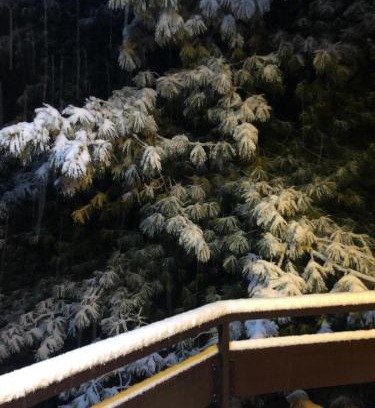 Borno Apartamento | Wood and Fire Chalet