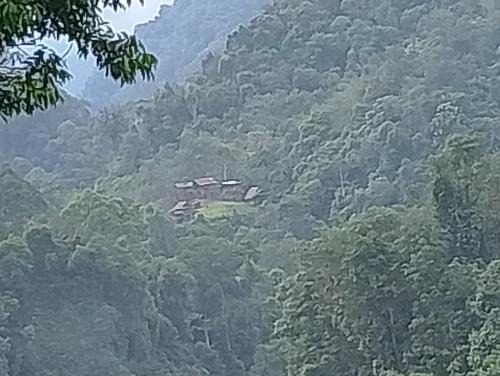 Bukit Lawang Casa | WOOD CABIN LODGE IN THE FOREST book here treking with us