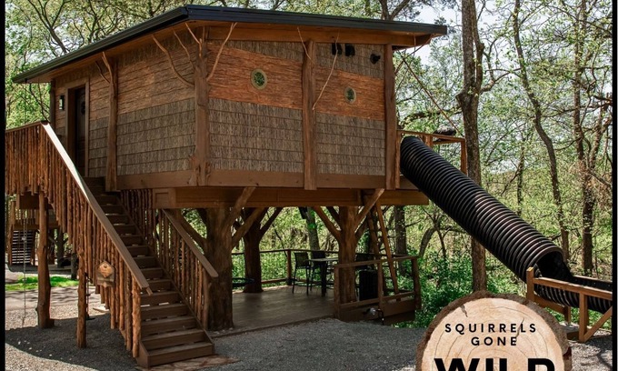 Sevierville Cabina | 🐿World's First Interactive Treehouse Resort! Squirrels Gone Wild🐿