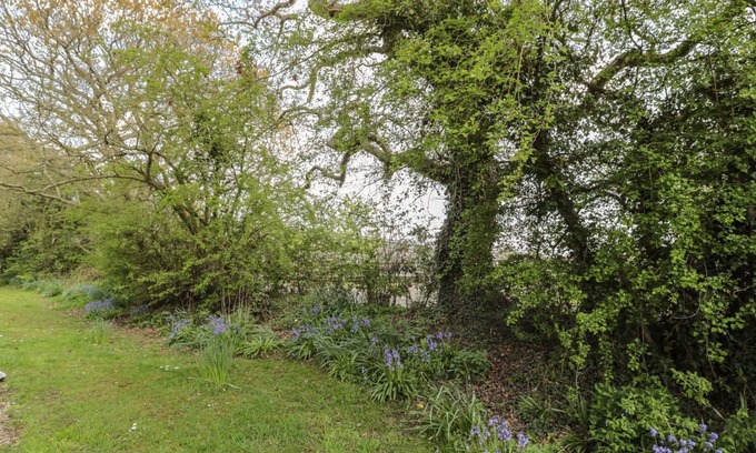 Morpeth Cabaña | Wren Cottage