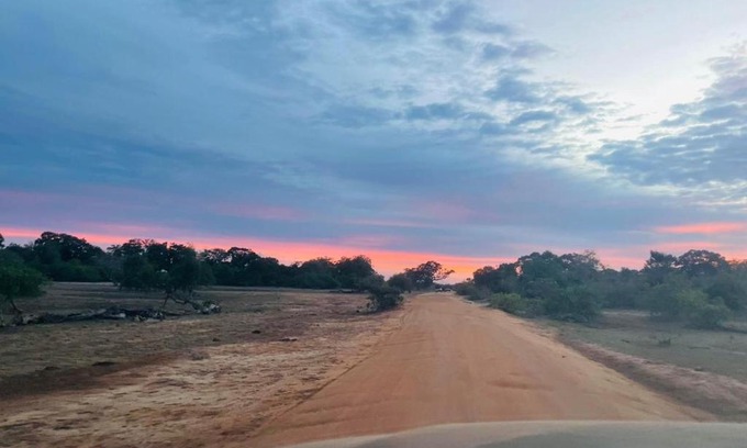 Palatupana Otro | Yala Hotel Lion - Air conditioned Luxury Tented Safari Camp