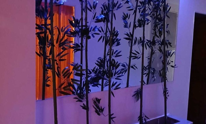 Calle 26 Hotel | Yashira Boutique Hotel