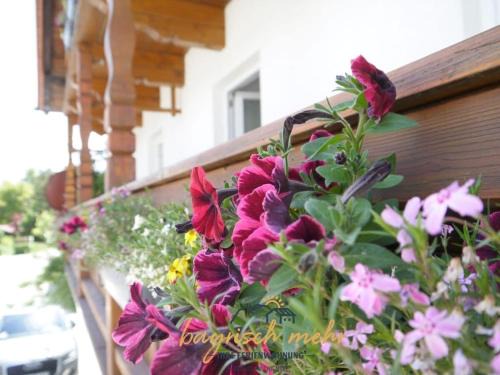 Gstadt Casa | Your holiday apartment Bavarian more
