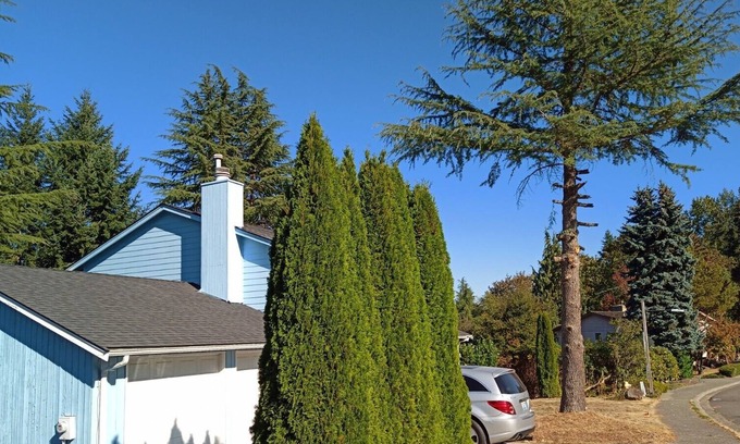 Bellevue Casa | Your Sweet Home @ Somerset Bellevue, a sought after place near golf club, shops!