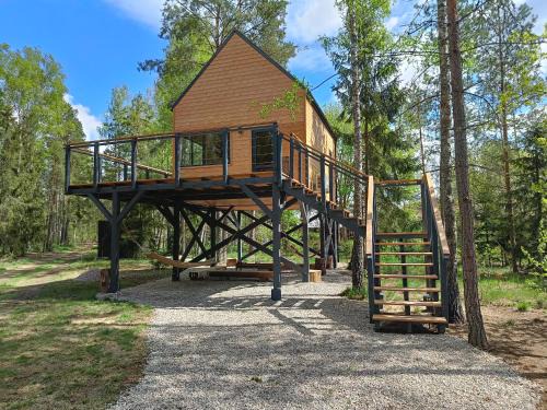 Narewka Apartamento | Zdalnie z Lasu - Siedlisko w Puszczy Białowieskiej