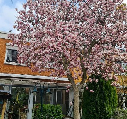 Rudow Casa | Zimmer mit optimaler Verkehrsanbindung und vielen Extras in Berlin-Rudow