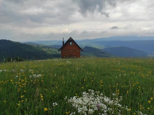 Zlatibor Casa | Zlatarski raj