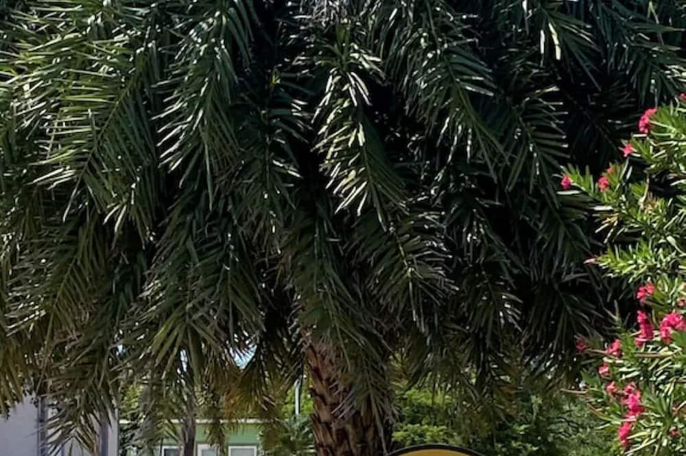 foto de Otras en Summerland Key