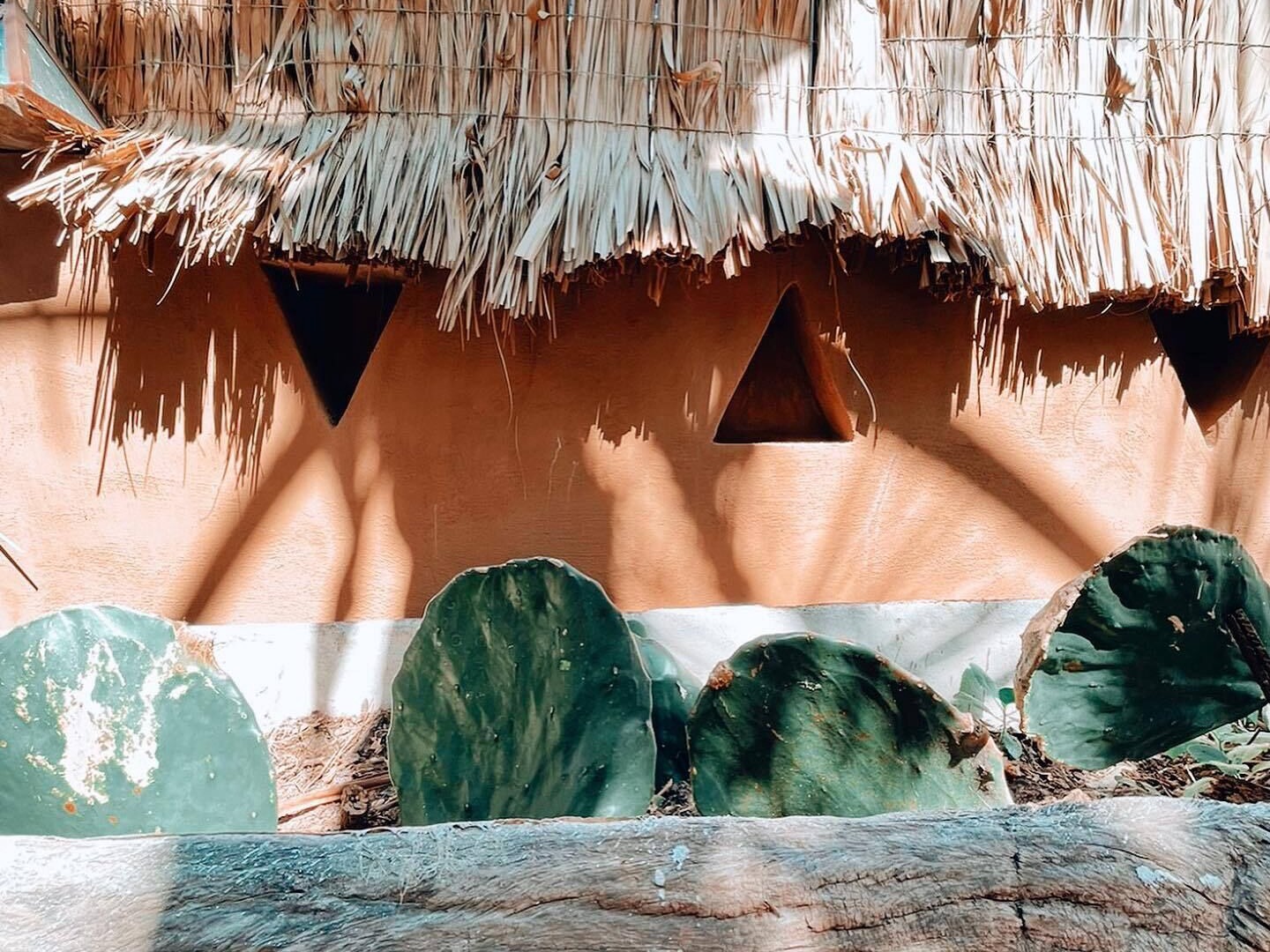 foto de Exterior en Brisas de Zicatela