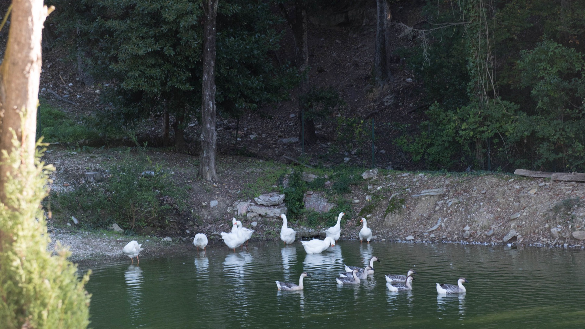 foto de Otras en Sassetta