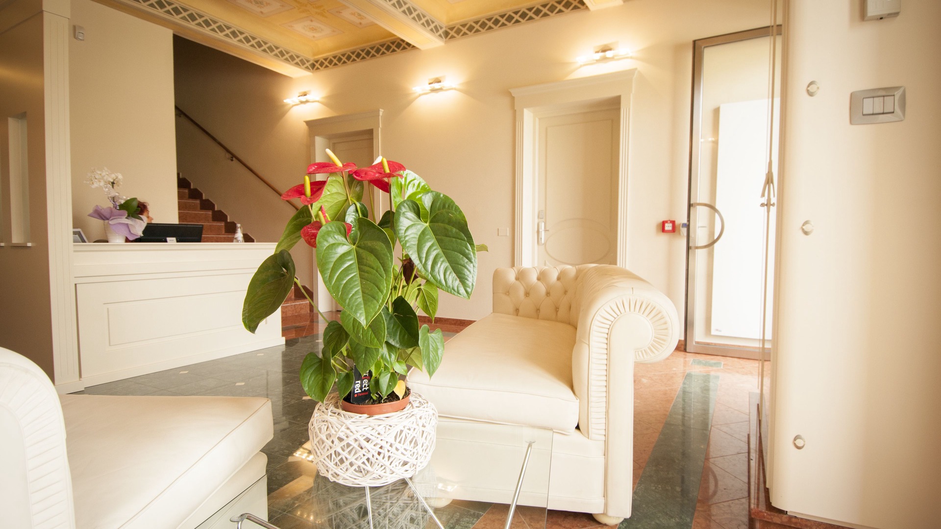 foto de Otras en Maranello