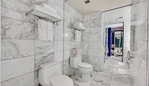 Suite Premium, 1 habitación, vistas a la ciudad