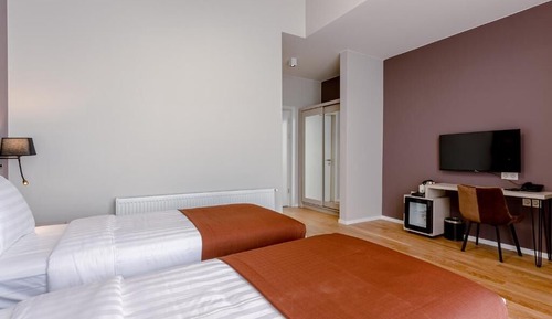 Superior Double or Twin Room with Mountain View