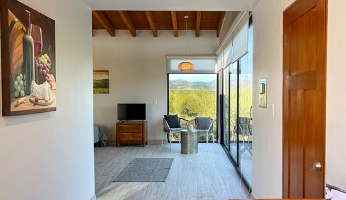 Habitación doble superior, vistas al viñedo