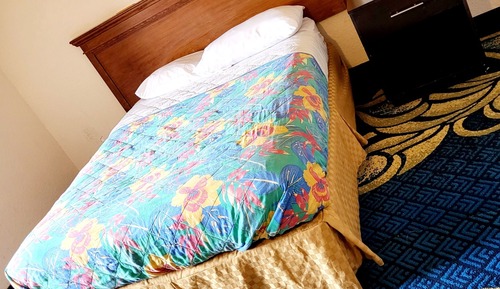 Habitación individual básica, 1 cama de matrimonio