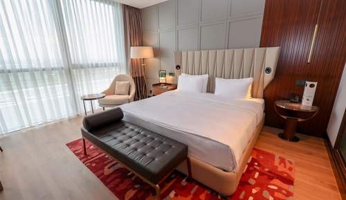 Habitación ejecutiva, 1 cama de matrimonio grande