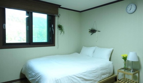 Room (403 chamomile)