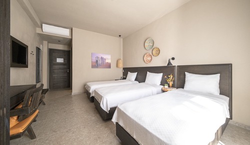 Habitación triple básica