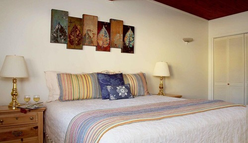 Suite, 1 cama de matrimonio grande