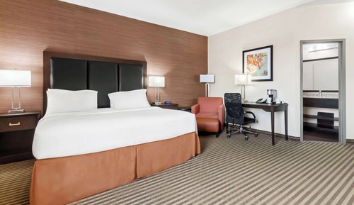 Habitación estándar, 1 cama de matrimonio grande, no fumadores, frigorífico y microondas