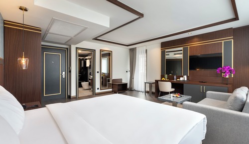Premium Business Executive Room