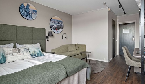 Habitación estándar, 1 cama de matrimonio, no fumadores (with Sofabed)