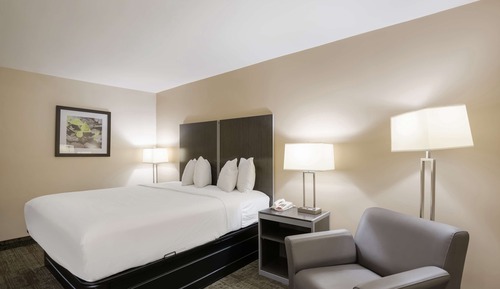 Habitación estándar, 1 cama de matrimonio grande, no fumadores, frigorífico y microondas