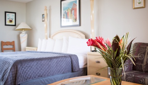 Habitación, 1 cama de matrimonio grande con sofá cama
