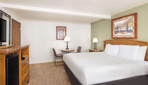 Habitación estándar, 1 cama de matrimonio grande, no fumadores (Walk-in Shower)