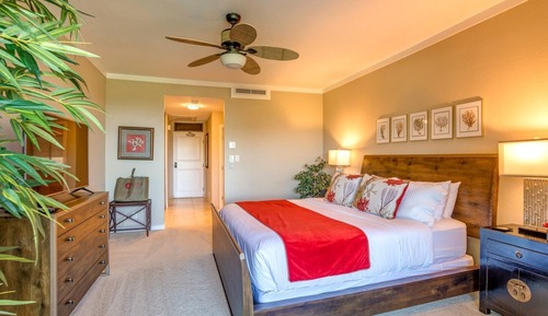 Apartamento (1 Bedroom)