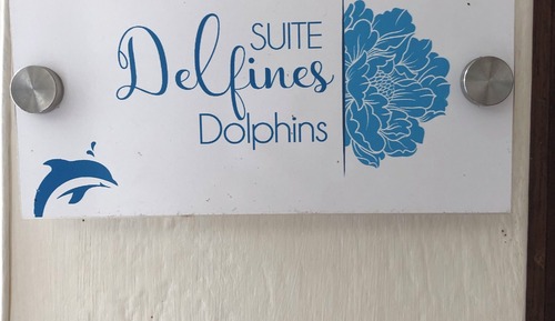 Habitación junior (Delfines)