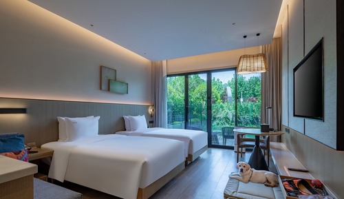 Habitación estándar, 2 camas individuales