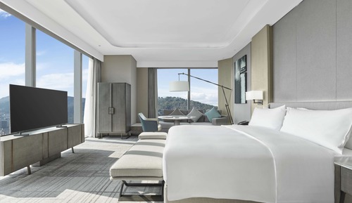 Habitación ejecutiva, 1 cama de matrimonio grande